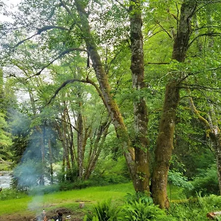 A Relaxing Getaway-A Backwoods Cabin Solduc River Beaver Exterior photo