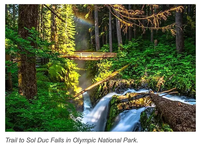 A Relaxing Getaway-A Backwoods Cabin Solduc River