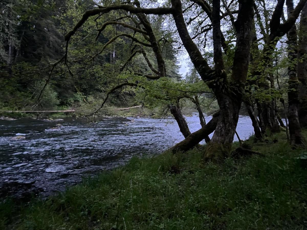 A Relaxing Getaway-a Backwoods Solduc River * Beaver