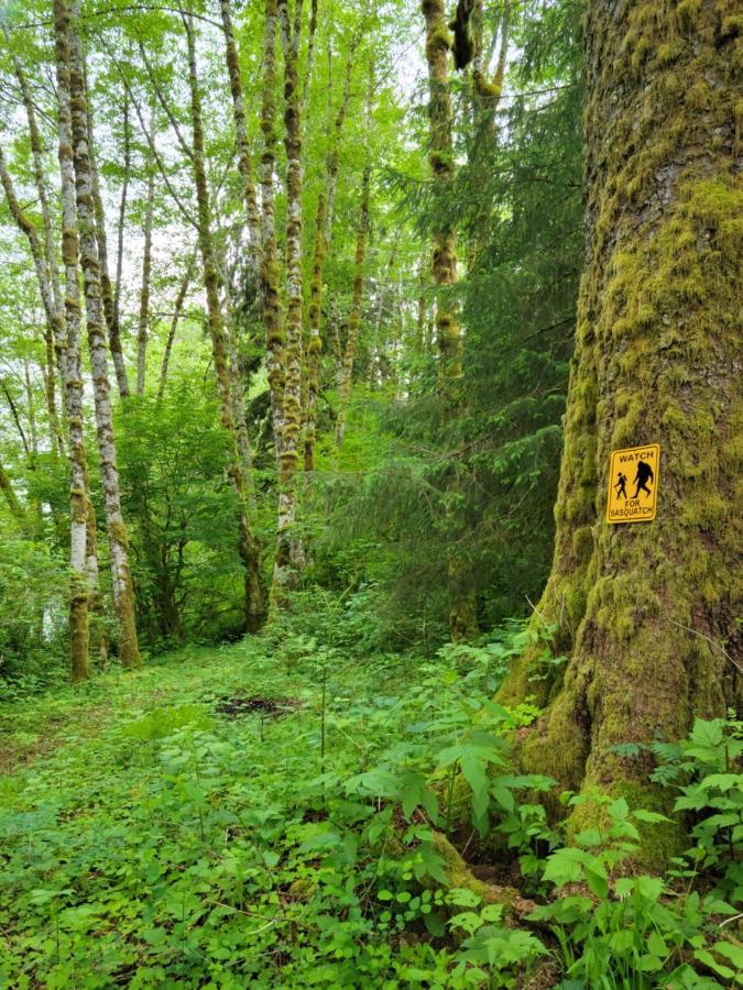 Сasa de vacaciones A Relaxing Getaway-a Backwoods Solduc River *