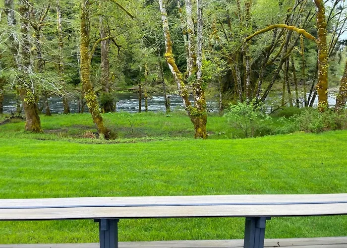 A Relaxing Getaway-A Backwoods Cabin Solduc River