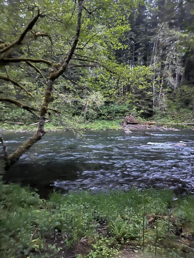 A Relaxing Getaway-a Backwoods Solduc River * Beaver
