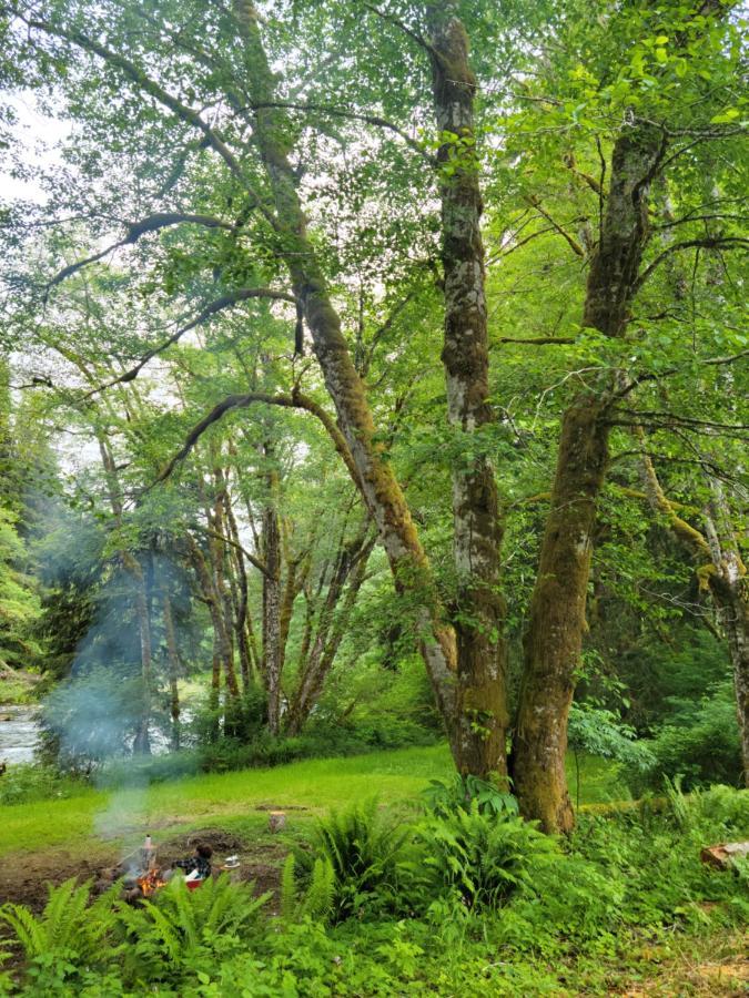 Casa vacanze A Relaxing Getaway-a Backwoods Solduc River Beaver