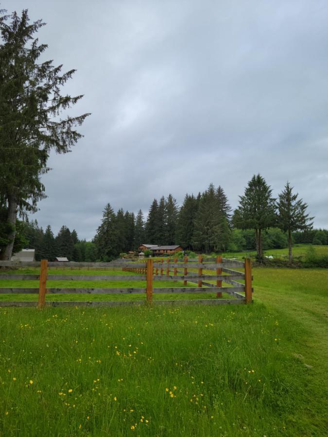 A Relaxing Getaway-a Backwoods Solduc River Casa vacanze
