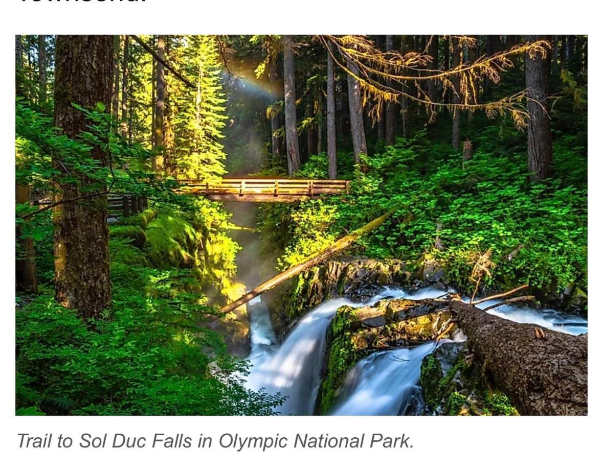 A Relaxing Getaway-a Backwoods Solduc River *